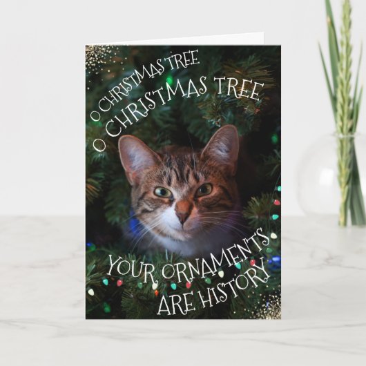 猫の木おもしろいのオーナメントの歴史クリスマスカード シーズンカード (正面)