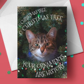 猫の木おもしろいのオーナメントの歴史クリスマスカード シーズンカード