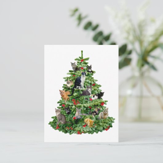 猫の木 ポストカード (スタンド正面)