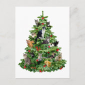 猫の木 ポストカード (正面)