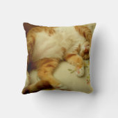 猫の枕を夢を見るNite Nite クッション (裏面)