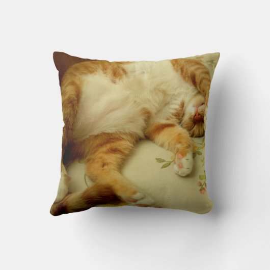 猫の枕を夢を見るNite Nite クッション (裏面)