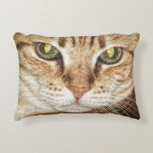 猫の枕 アクセントクッション (正面)