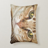 猫の枕 アクセントクッション (正面(垂直))