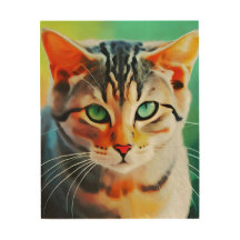 猫の柄