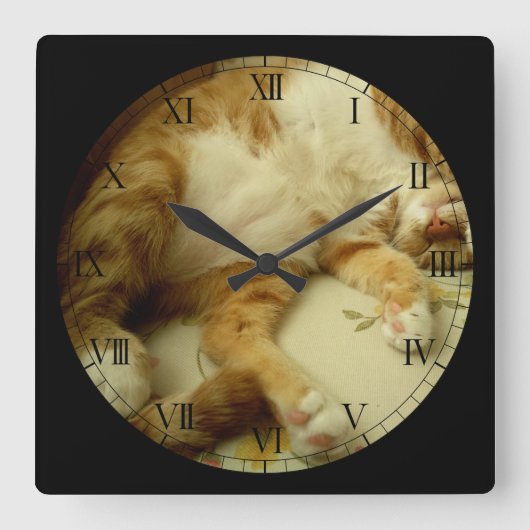 猫の柱時計を夢を見るNite Nite スクエア壁時計 (正面)