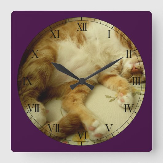 猫の柱時計を夢を見るNite Nite スクエア壁時計 (正面)