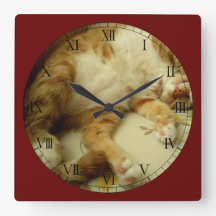 猫の柱時計を夢を見るNite Nite