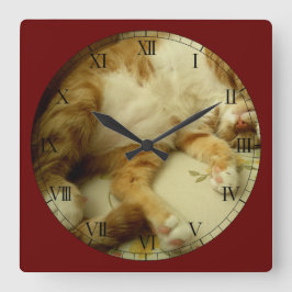 猫の柱時計を夢を見るNite Nite スクエア壁時計