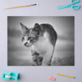 猫の検索ティッシュペーパー 薄葉紙 (クラフト)