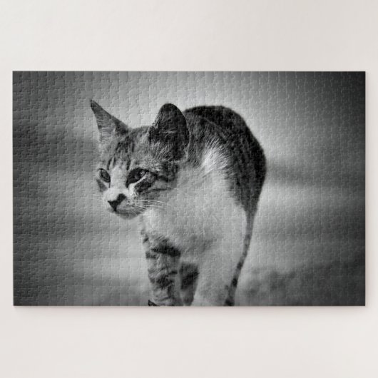 猫の検索パズル ジグソーパズル (横)