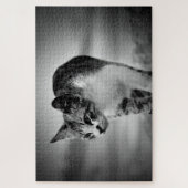 猫の検索パズル ジグソーパズル (縦)