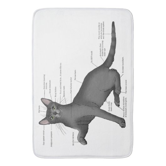 猫の構造 バスマット (正面縦)