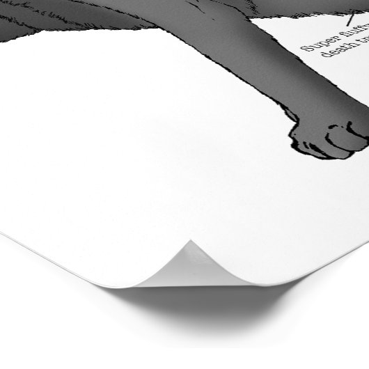 猫の構造 ポスター (角)