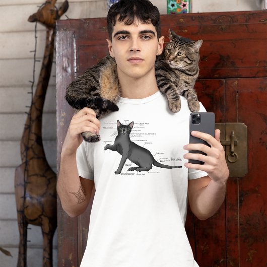 猫の構造 Tシャツ