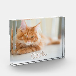 猫の横向きの写真 かわいいフォントの名前 フォトブロック