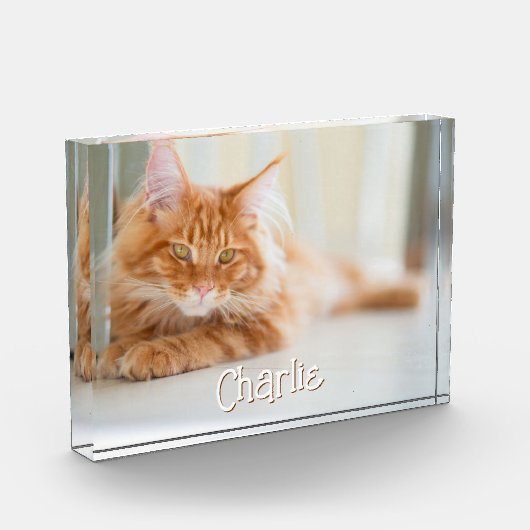 猫の横向きの写真 かわいいフォントの名前 フォトブロック (左)