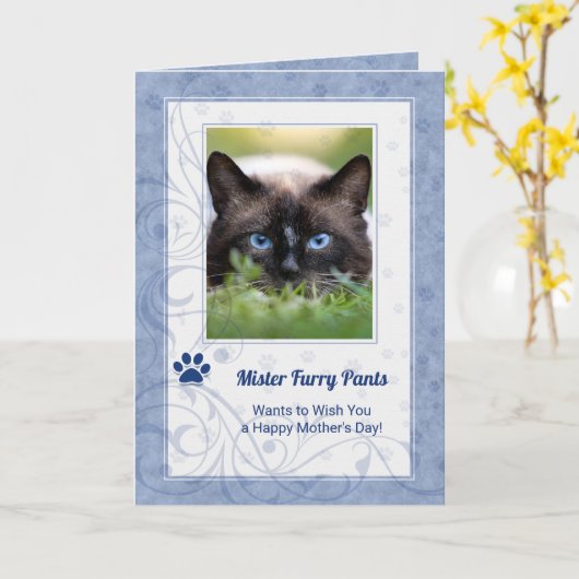 猫の母の日からPeriwinkle Blue写真 カード (黄色い花)
