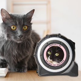 猫の母の最高の財産の写真 メジャー