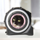 猫の母の最高の財産の写真 メジャー