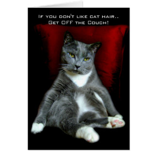 猫の毛を好まなければ。 ソファを離れて得て下さい!