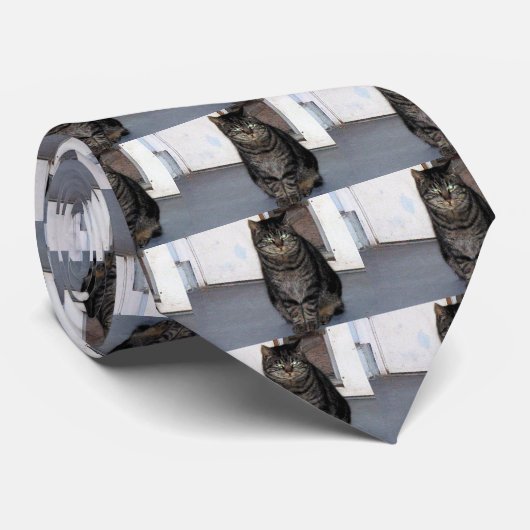 猫の気違いのタイ ネクタイ (ロール)