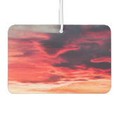 猫の波 カーエアーフレッシュナー (正面)