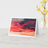 猫の波 カード (黄色い花)