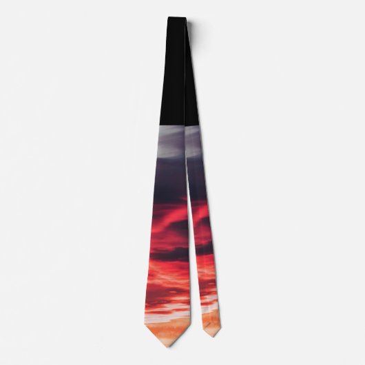 猫の波 ネクタイ (正面)