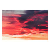 猫の波 フォトプリント            (正面)