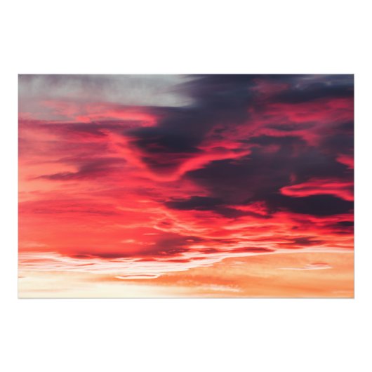 猫の波 フォトプリント            (正面)