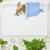 猫の洗浄 キッチンタオル (折り畳み)