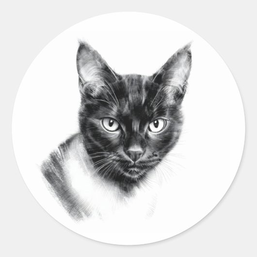 猫の炭 ラウンドシール (正面)