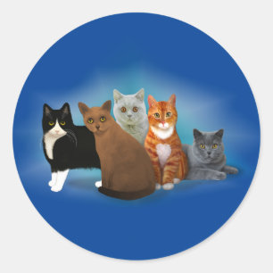 猫の猫好き集 ラウンドシール