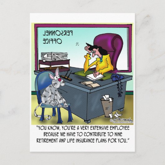 猫の生命保険プランは9つある ポストカード (正面)