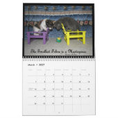 猫の生活カレンダー-おもしろい引用文 カレンダー (3月 2027)