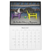 猫の生活カレンダー カレンダー (3月 2027)