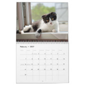 猫の生活カレンダー カレンダー (2月 2027)