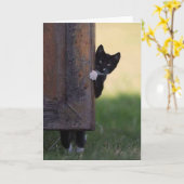 猫の白いカード - お悔やみ、感謝、誕生日! カード (黄色い花)