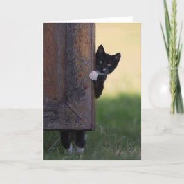 猫の白いカード - お悔やみ、感謝、誕生日! カード