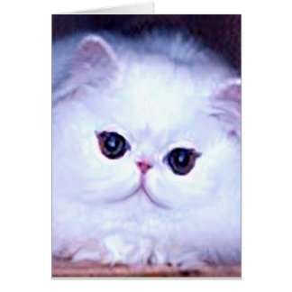 猫の白いペルシャの子ネコの子猫