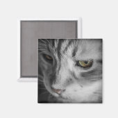 猫の白黒写真 マグネット (正面/裏面)