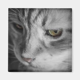 猫の白黒写真 マグネット