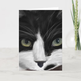 猫の監視 シーズンカード