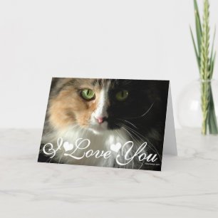 猫の目の写真イメージ I Love You カード