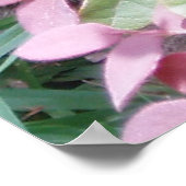 猫の目を燃やす ポスター (角)