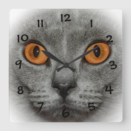 猫の目 スクエア壁時計 (正面)