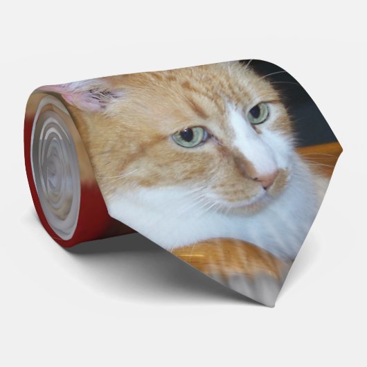 猫の目 ネクタイ (ロール)