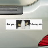猫の目 バンパーステッカー (車上)