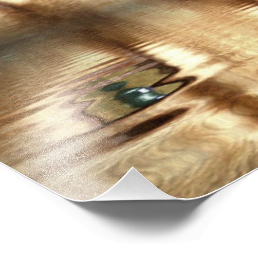 猫の目 フォトプリント            (角)